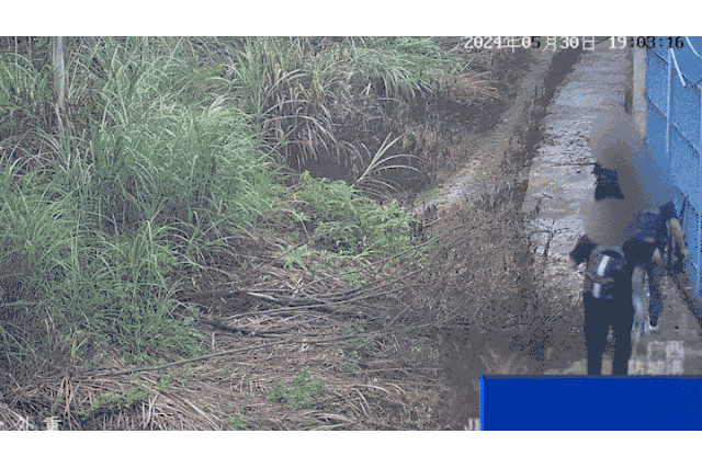 0cc9-gif890cd30cac52ebef2c159305a8256806 (1).gif